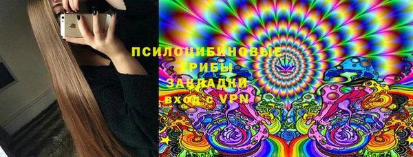spice Няндома