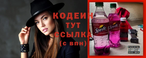 spice Няндома