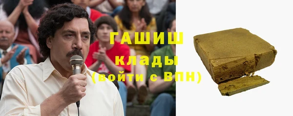 spice Няндома