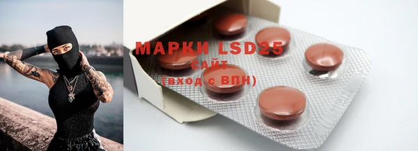 ECSTASY Новозыбков