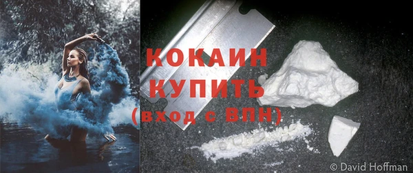 spice Няндома